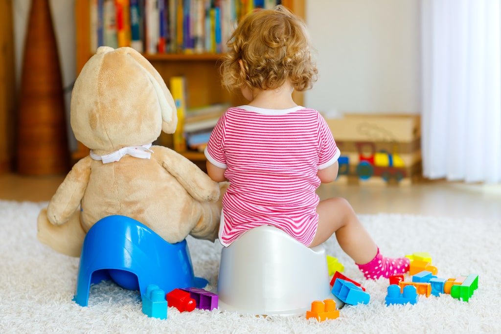 How to Potty Train Your Toddler?